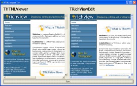 HTML Dokument (TRichView Seite) eingef�gt in TRichViewEdit und THTMLViewer