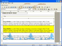 TRichView in ReportBuilder