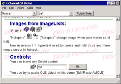 RichView-basierter Editor