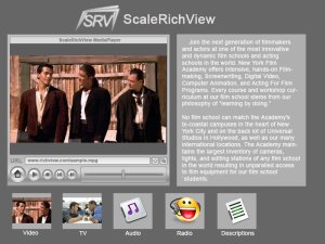 TSRVMediaPlayer