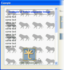 Hypertext halbtransparente Bilder