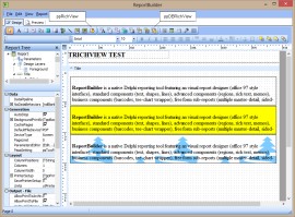 TRichView in ReportBuilder TRichView in ReportBuilder
