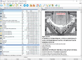Total Commander Plugin zur Anzeige von DocX, RTF, RVF-Dateien Total Commander Plugin zur Anzeige von DocX, RTF, RVF-Dateien